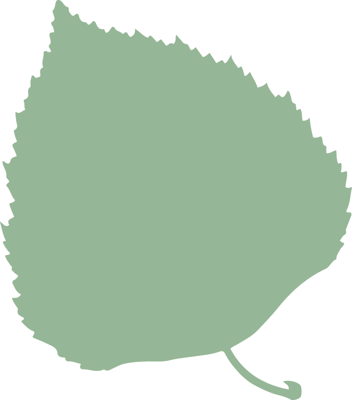 green leaf image